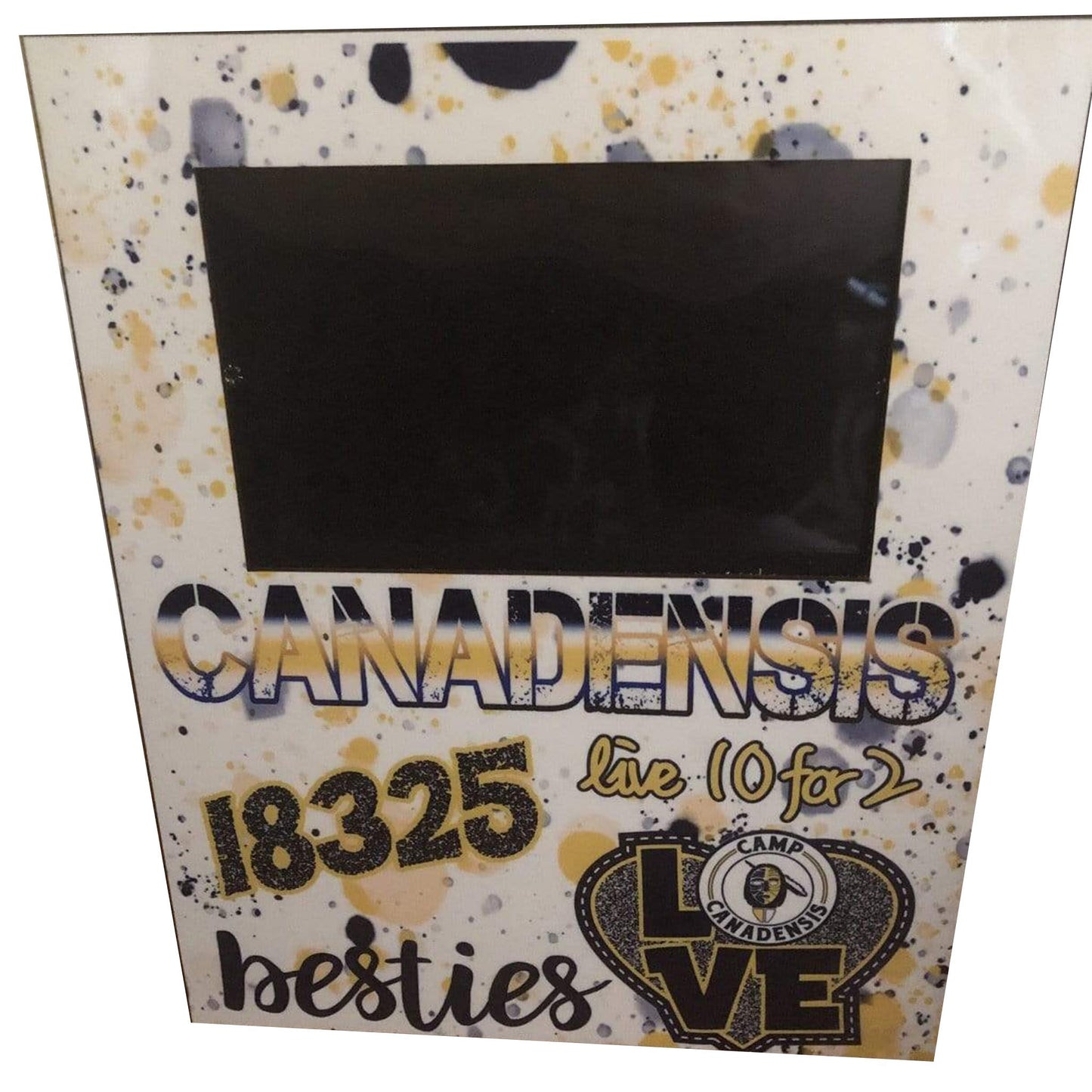 Camp Custom Frames - a Spirit Animal -