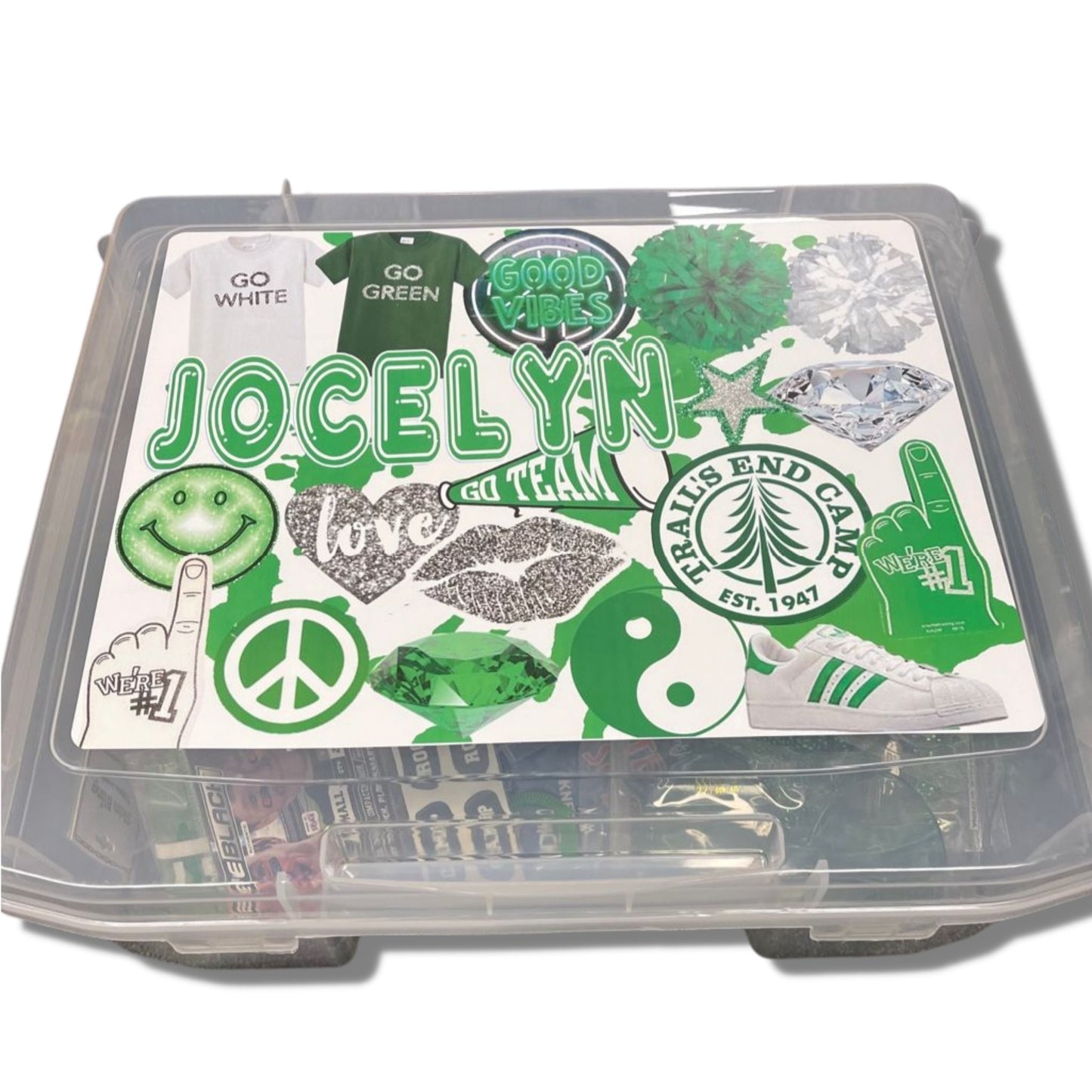 Camp Name & Colors Spirit Box - a Spirit Animal - Custom Camp Spirit Box $45-$60 Alli Paige Camp