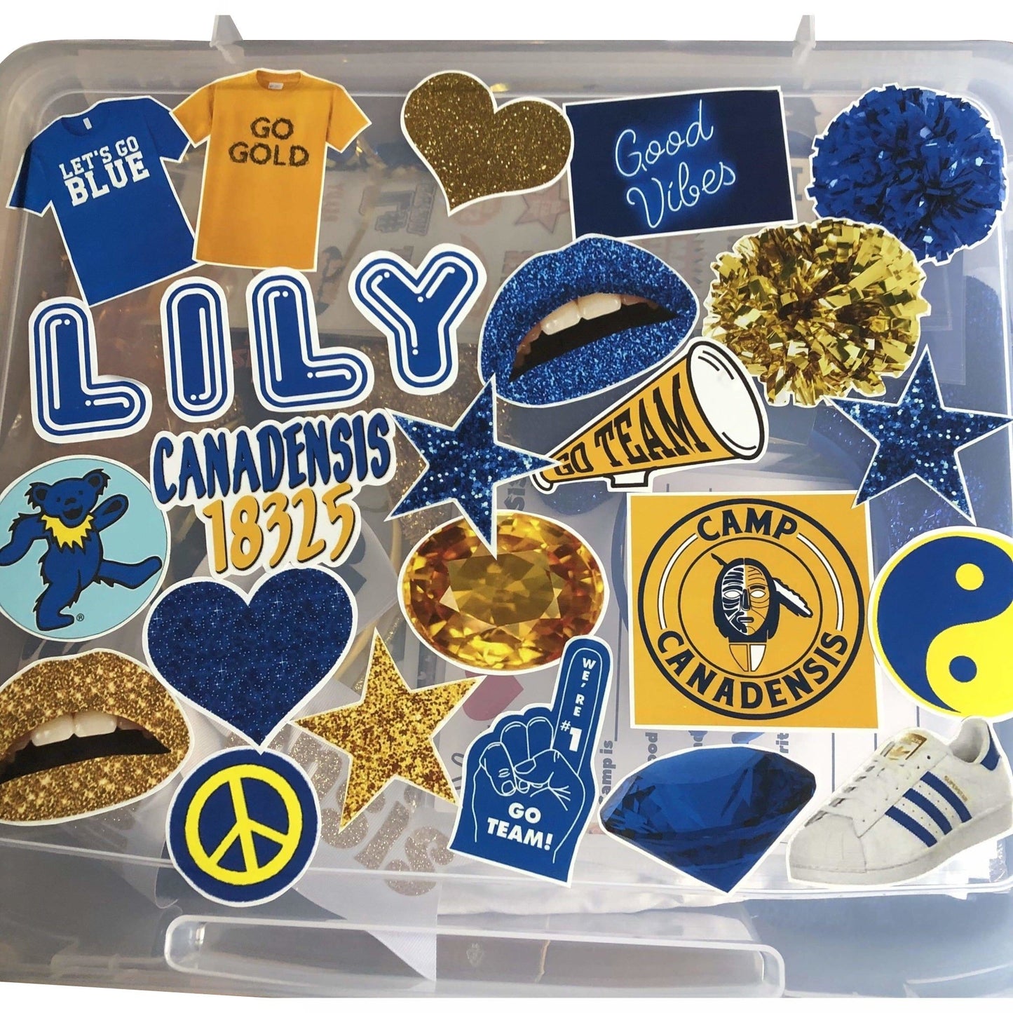 Camp Name & Colors Spirit Box - a Spirit Animal - Custom Camp Spirit Box $45-$60 Alli Paige Camp