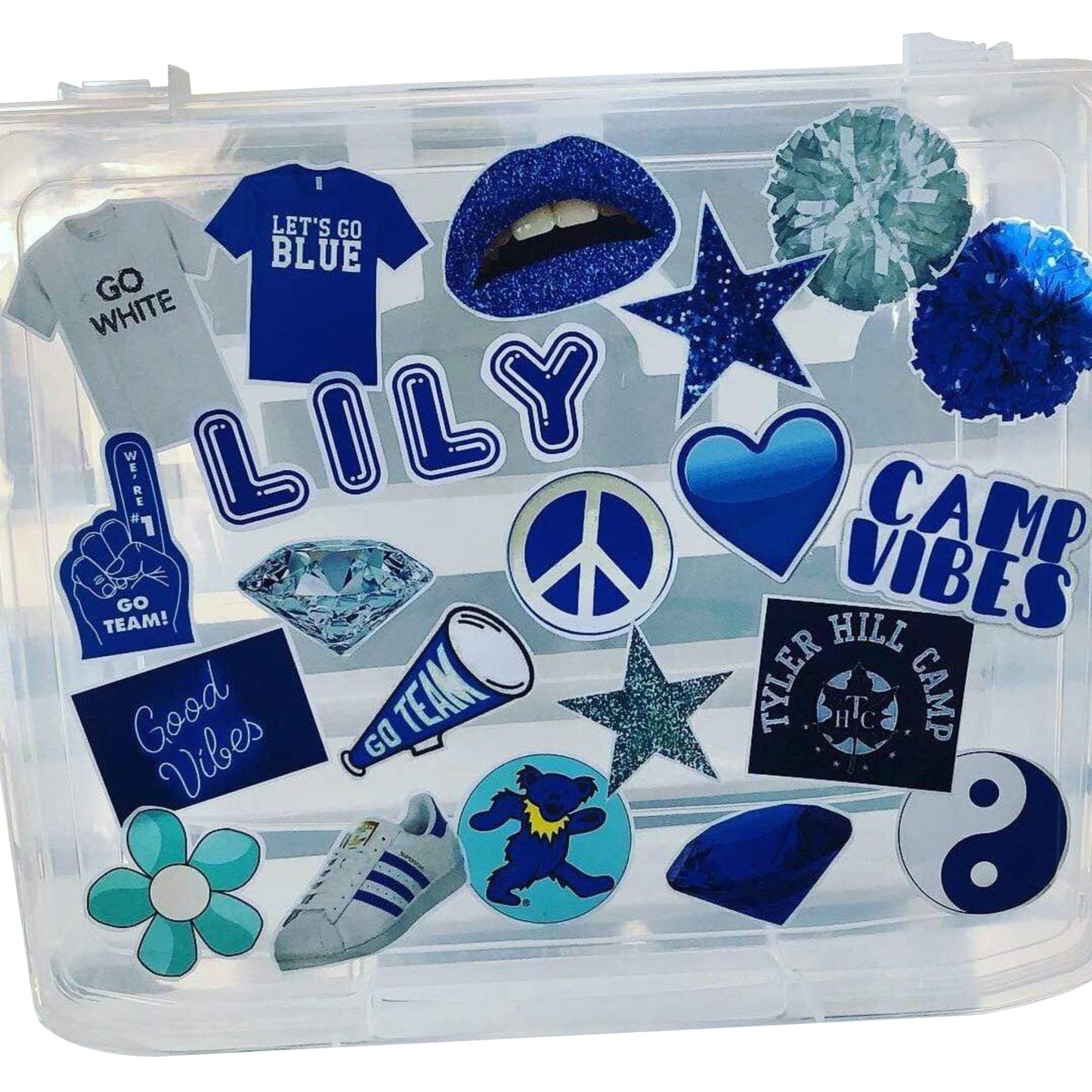 Camp Name & Colors Spirit Box - a Spirit Animal - Custom Camp Spirit Box $45-$60 Alli Paige Camp