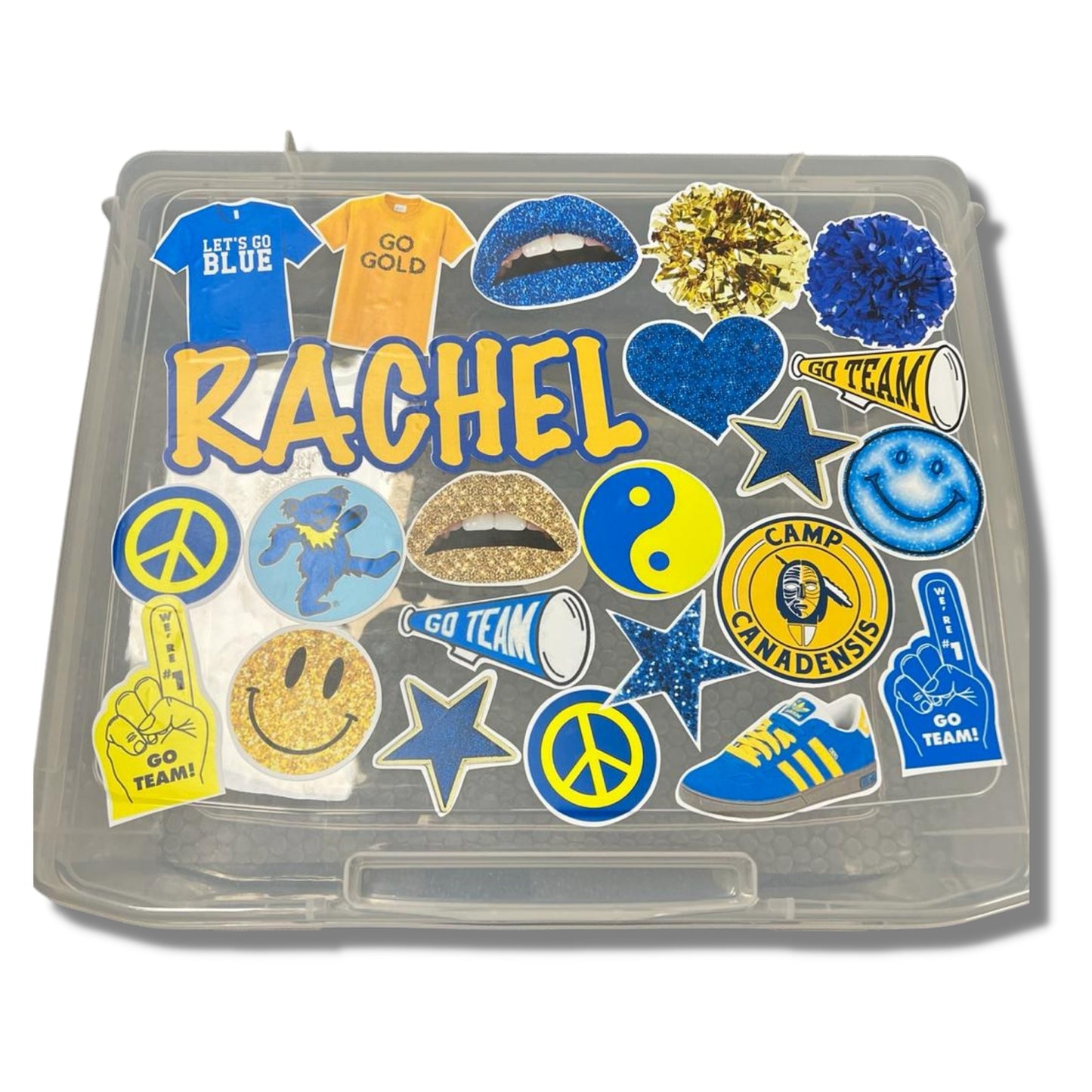 Camp Name & Colors Spirit Box - a Spirit Animal - Custom Camp Spirit Box $45-$60 Alli Paige Camp