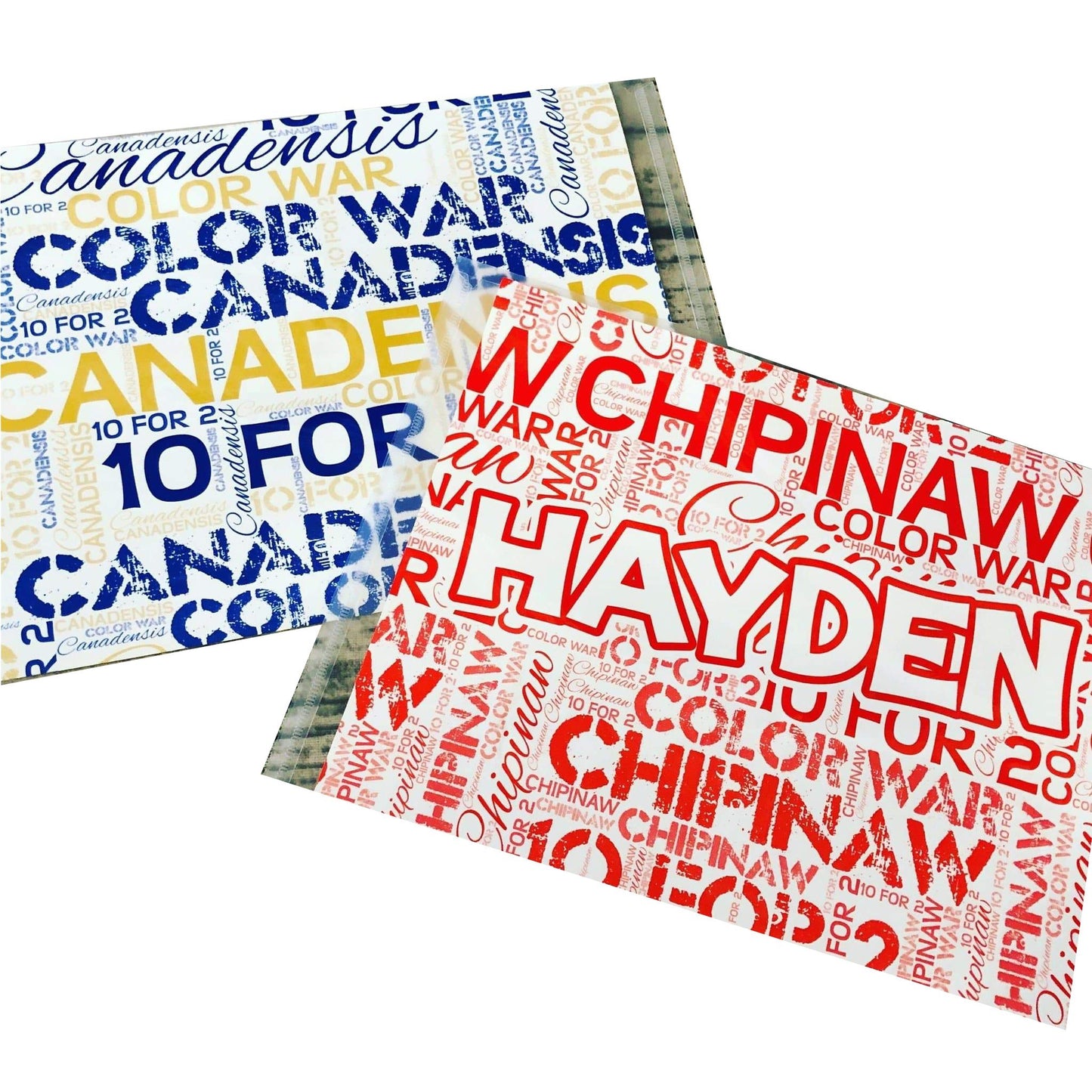 Camp Name Envelope for Mail - a Spirit Animal -