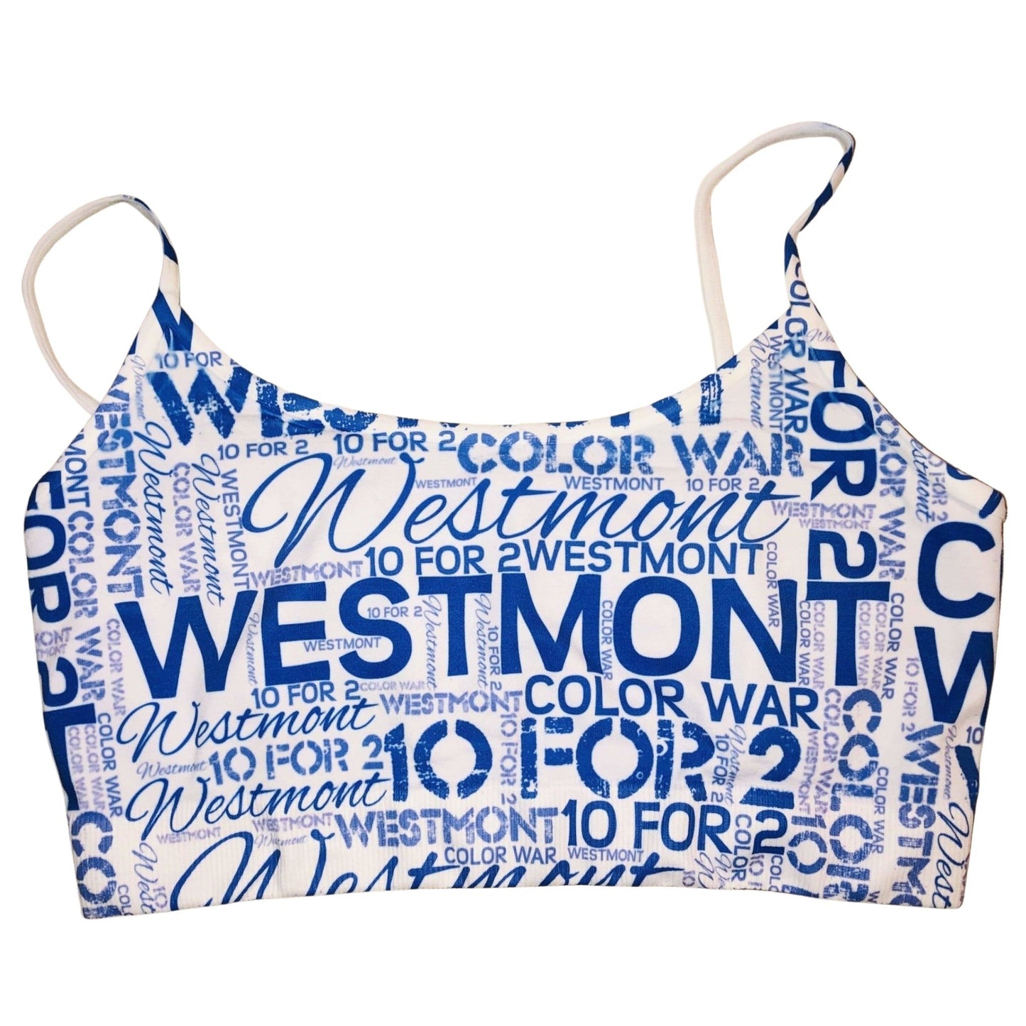 Camp Name/Team Name/School Name- Sublimated Sports Bra - a Spirit Animal -