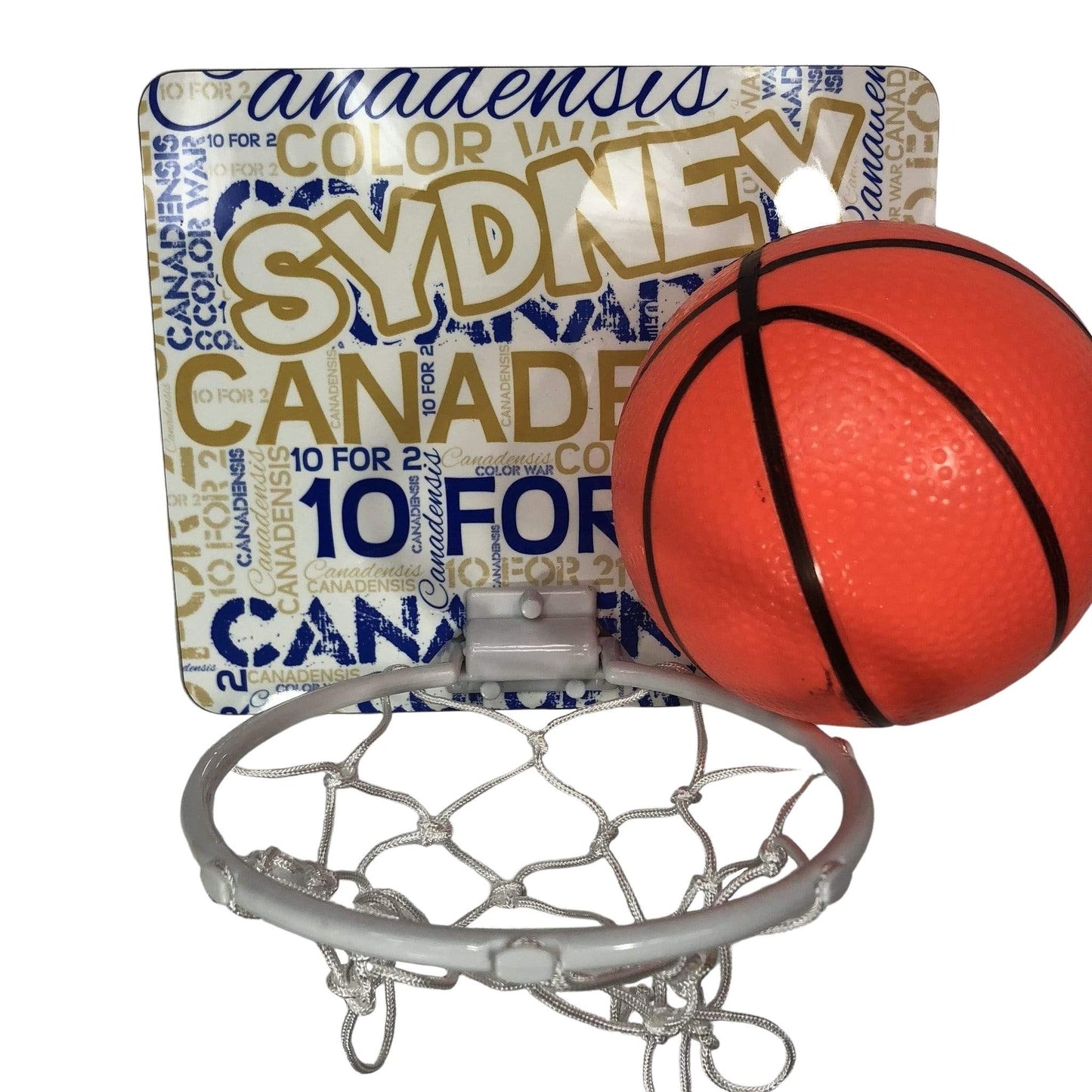 Custom Basketball Set - a Spirit Animal - Custom Basketball Net Basketball Net Camp Custom Basketball Net