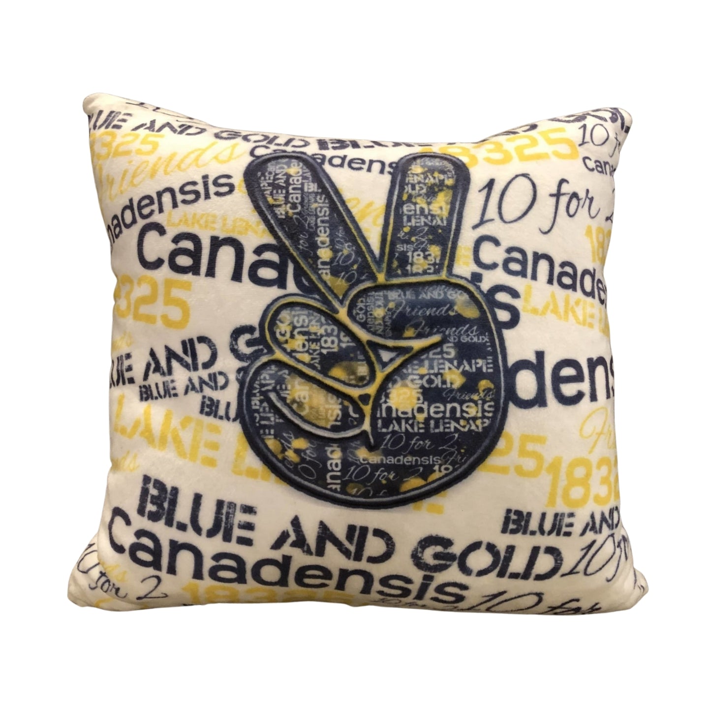 Custom Camp Pillow