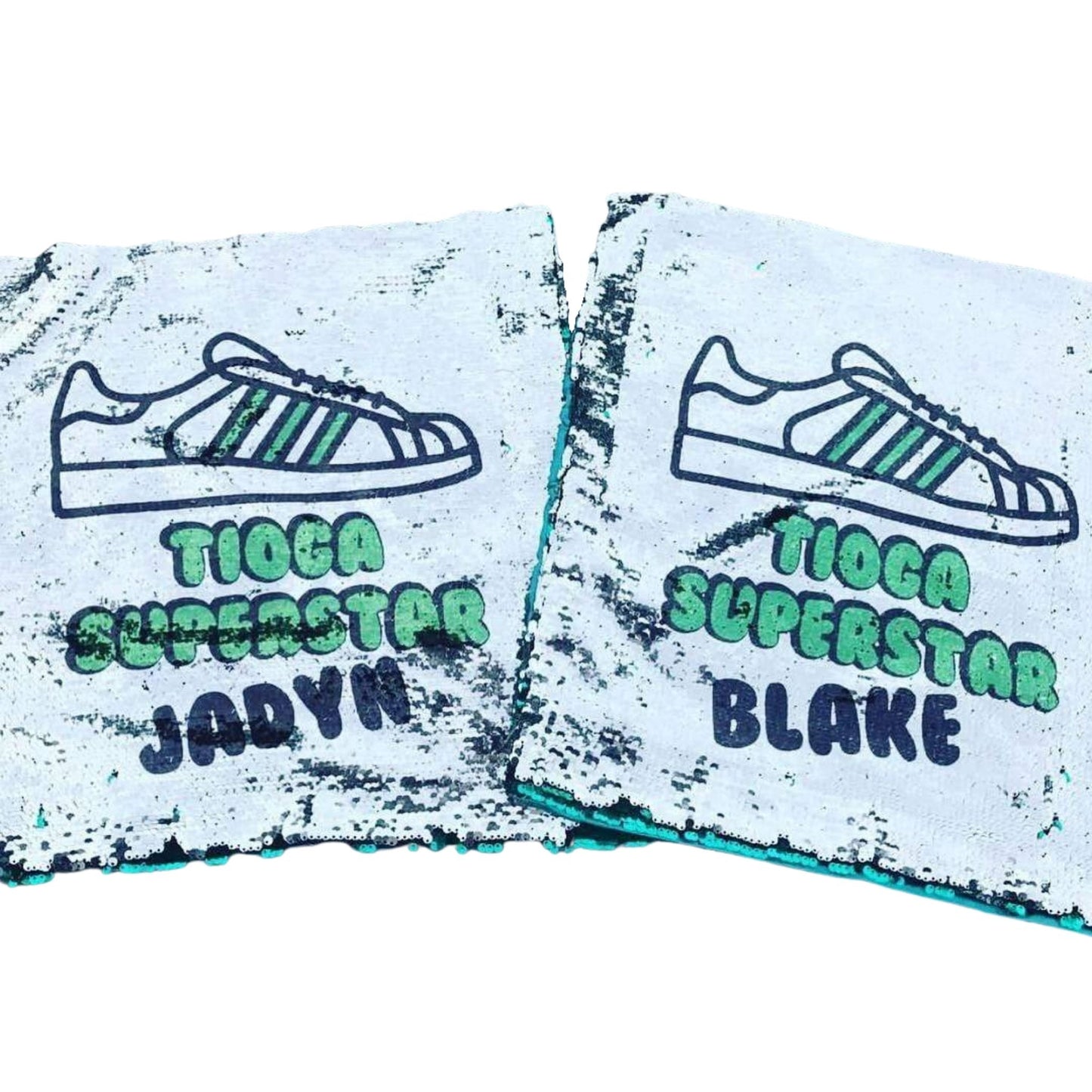 Custom College Sequin Pillow - a Spirit Animal -
