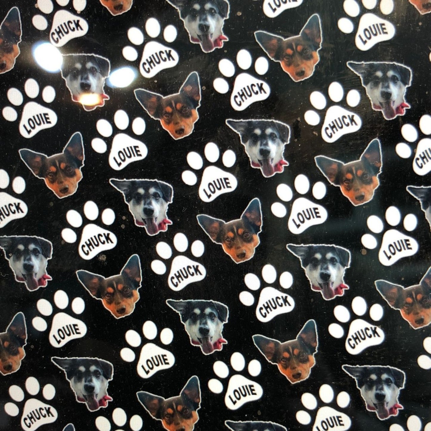 Favorite Pet Blanket - a Spirit Animal -