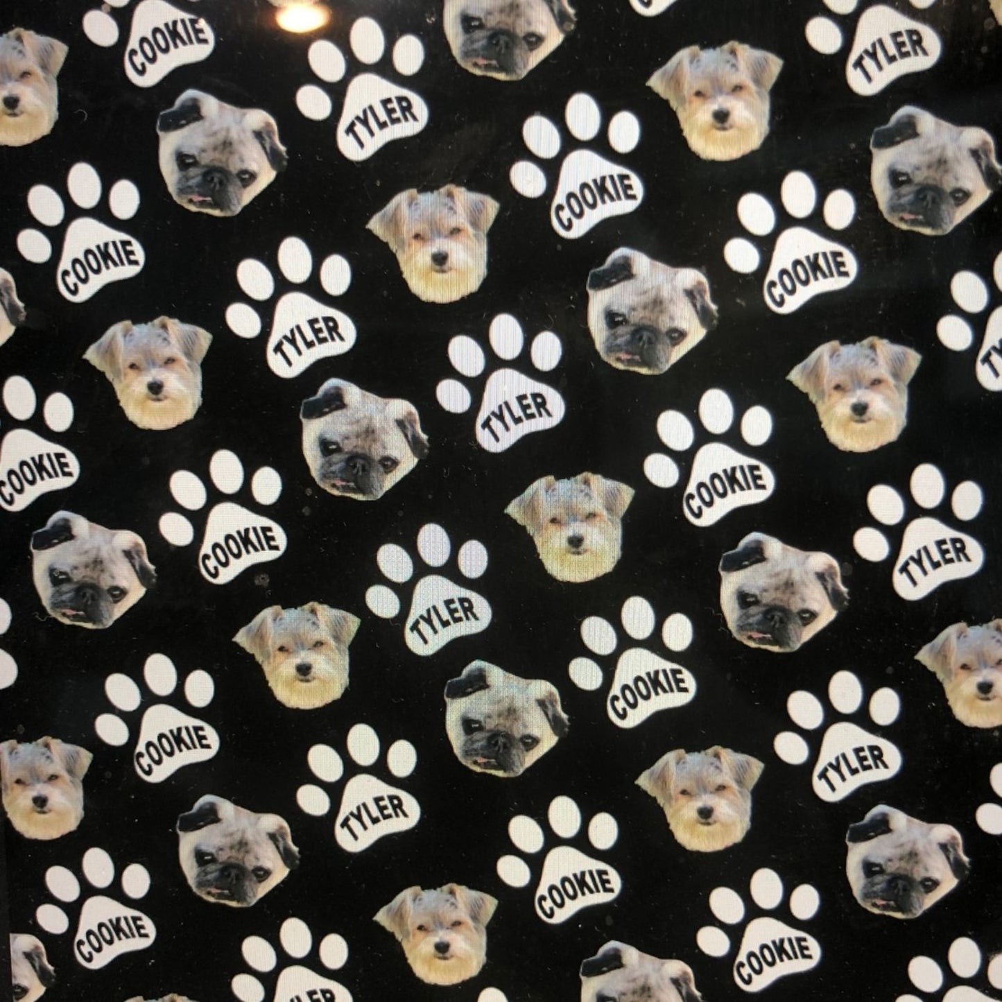 Favorite Pet Blanket - a Spirit Animal -